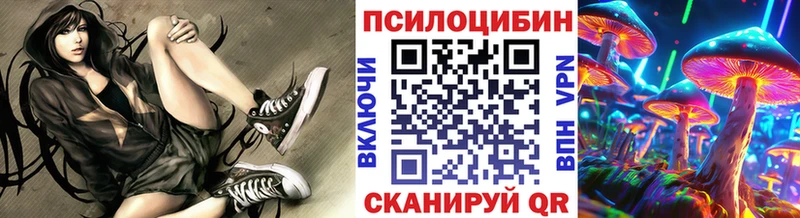 купить  цена  Клинцы  Галлюциногенные грибы Cubensis 